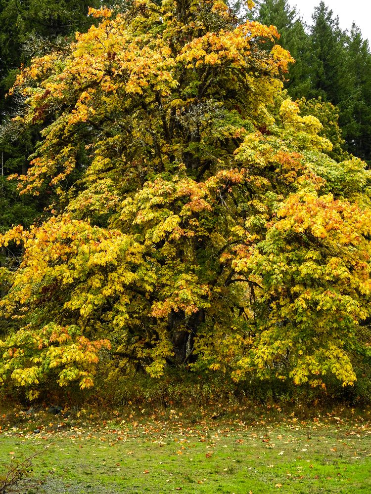 Photograph by Tareen