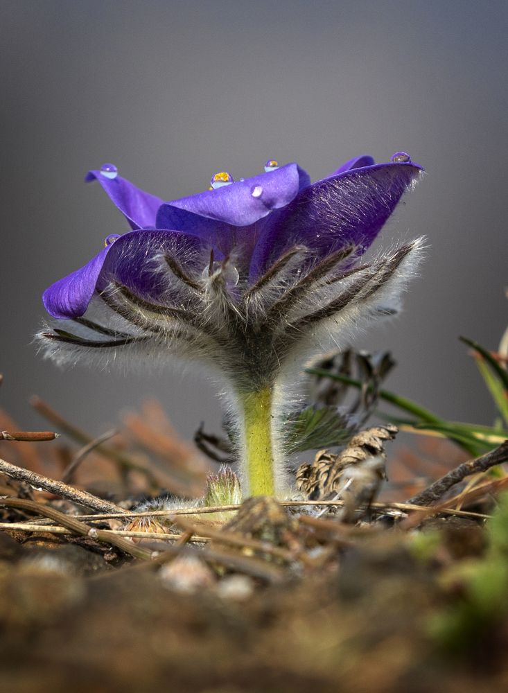 Photograph by Дмитрий Юдин