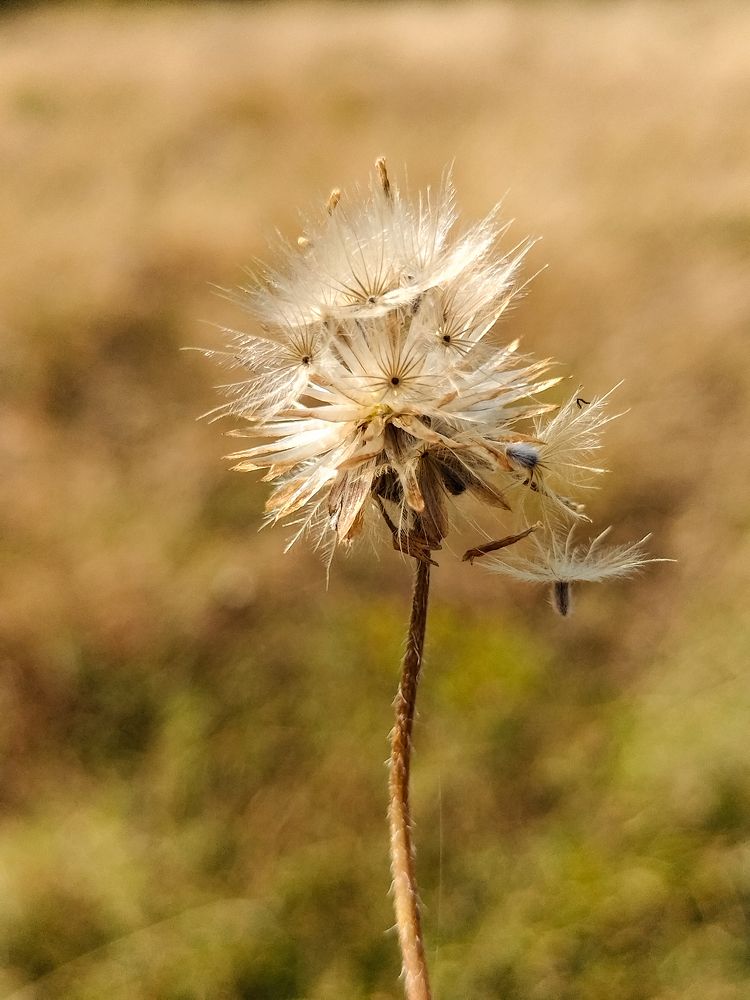 Photograph by Praveen