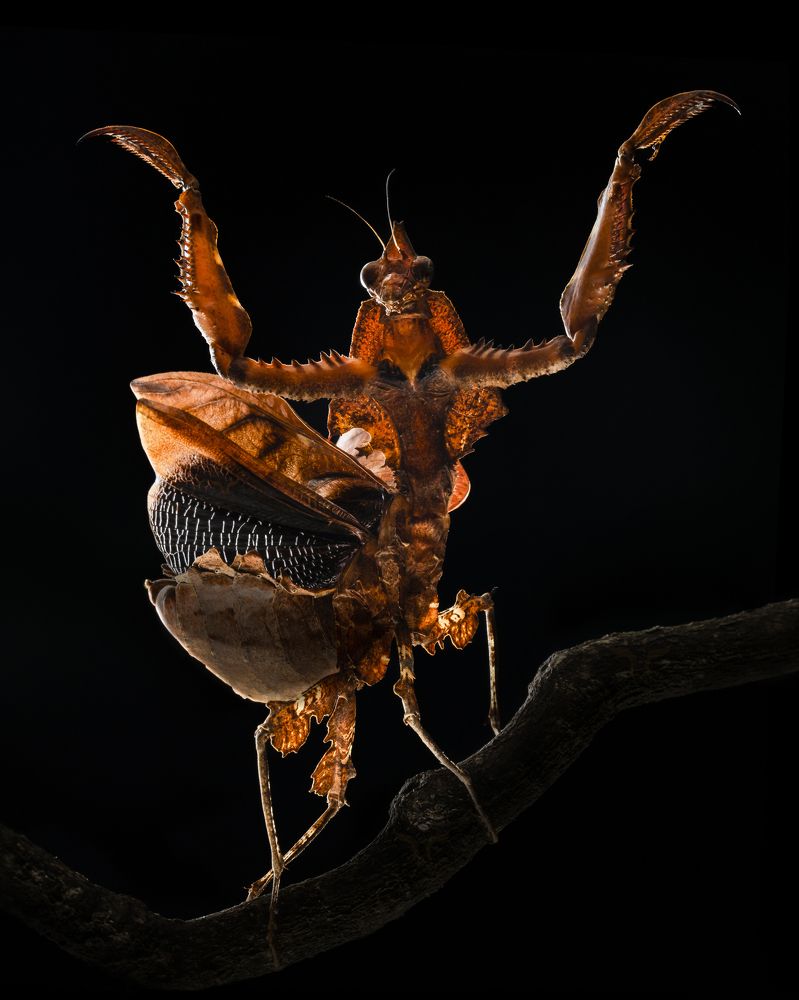 Photograph by Tinh Dang thanh