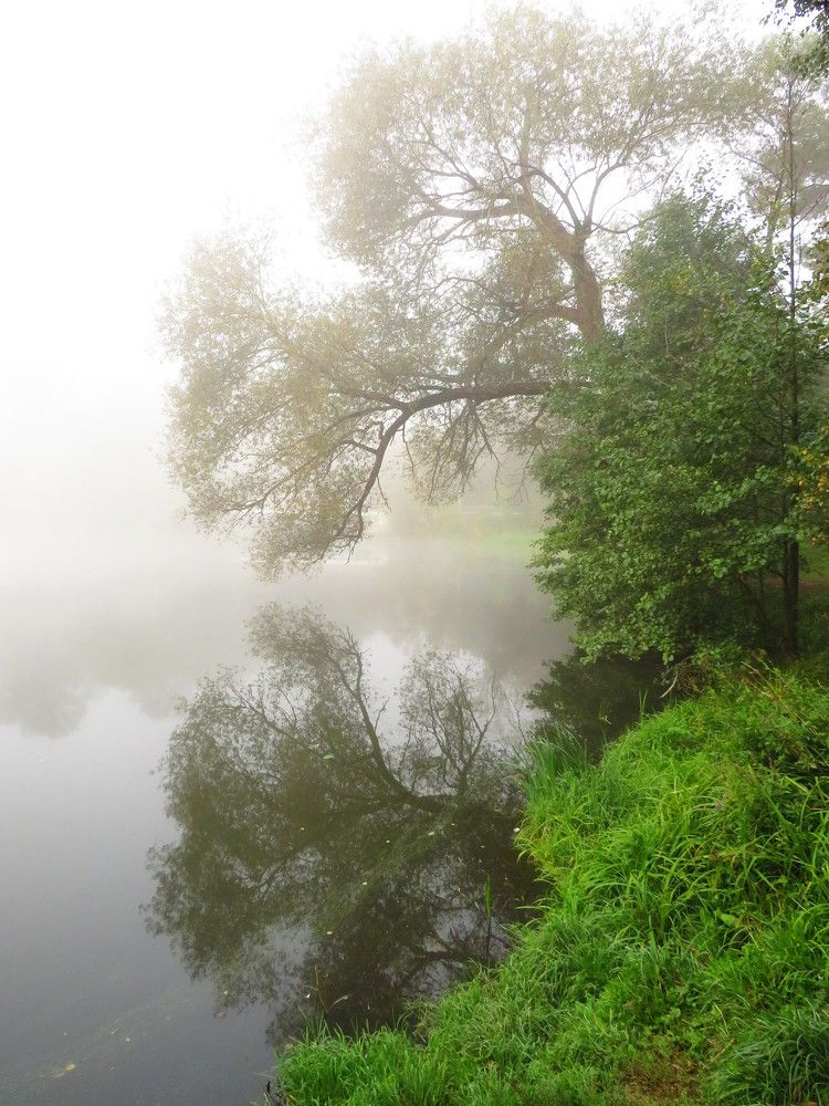 Осенний туман