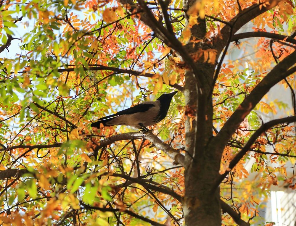 Photograph by Мария Андреева