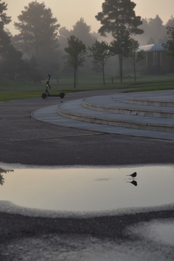 Photograph by Ольга Струкалина