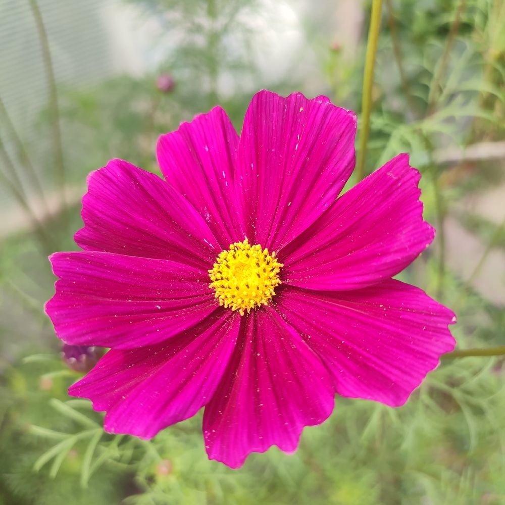 Photograph by EvGeN Play