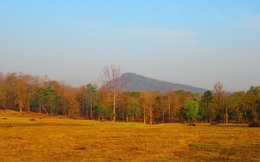 Good landcape 1 morning