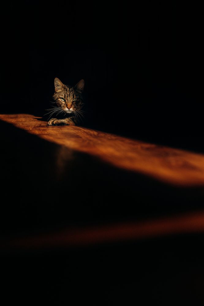 Photograph by Мария Мартынова