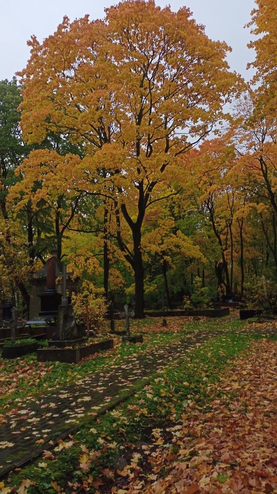 Photograph by Людмила Викулова