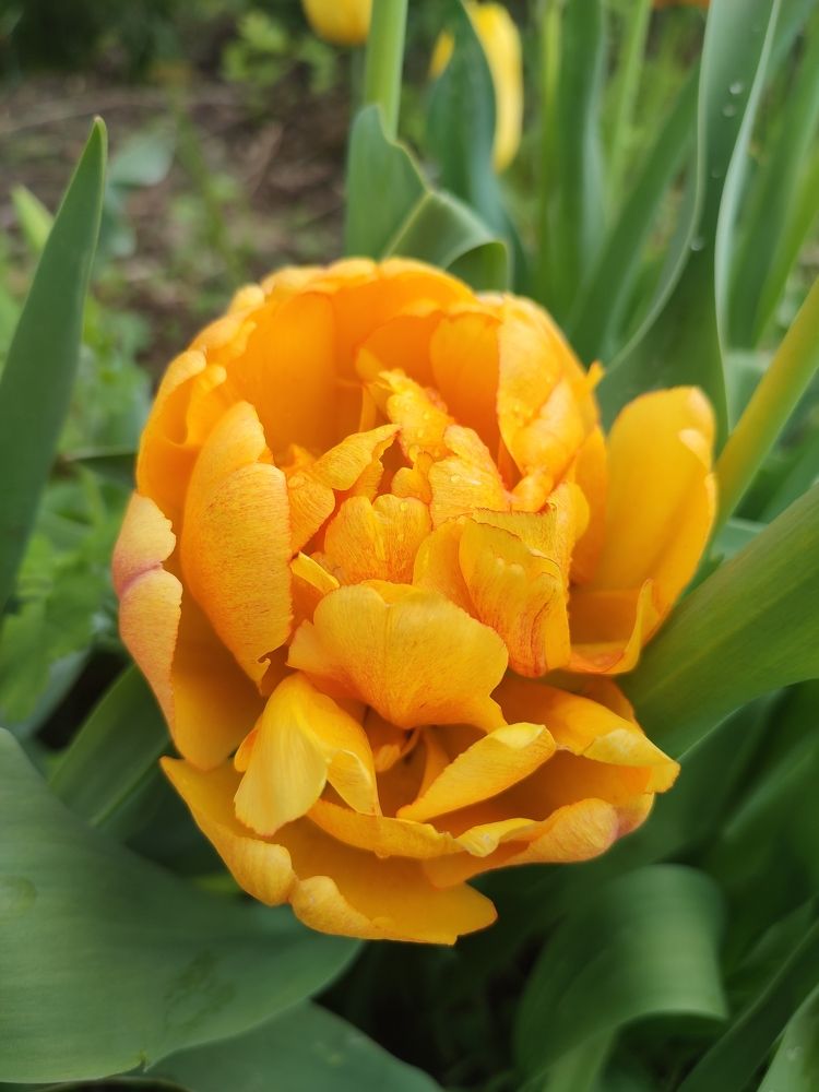 Photograph by EvGeN Play