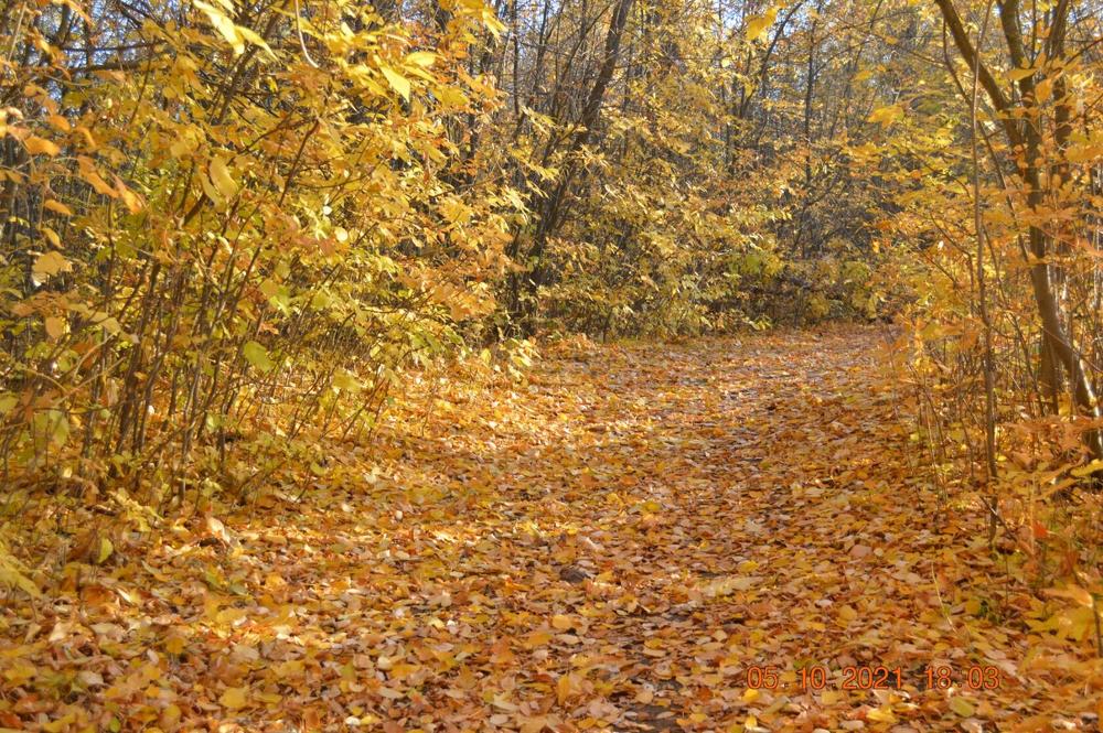 Photograph by Нина Романюк