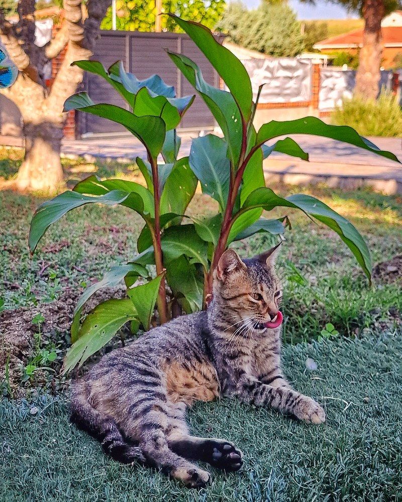 Photograph by Noemí Hornero Alonso