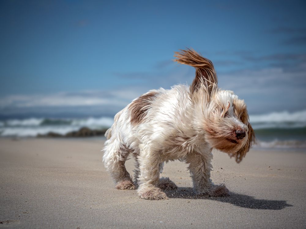 Photograph by Midge Engelbrecht