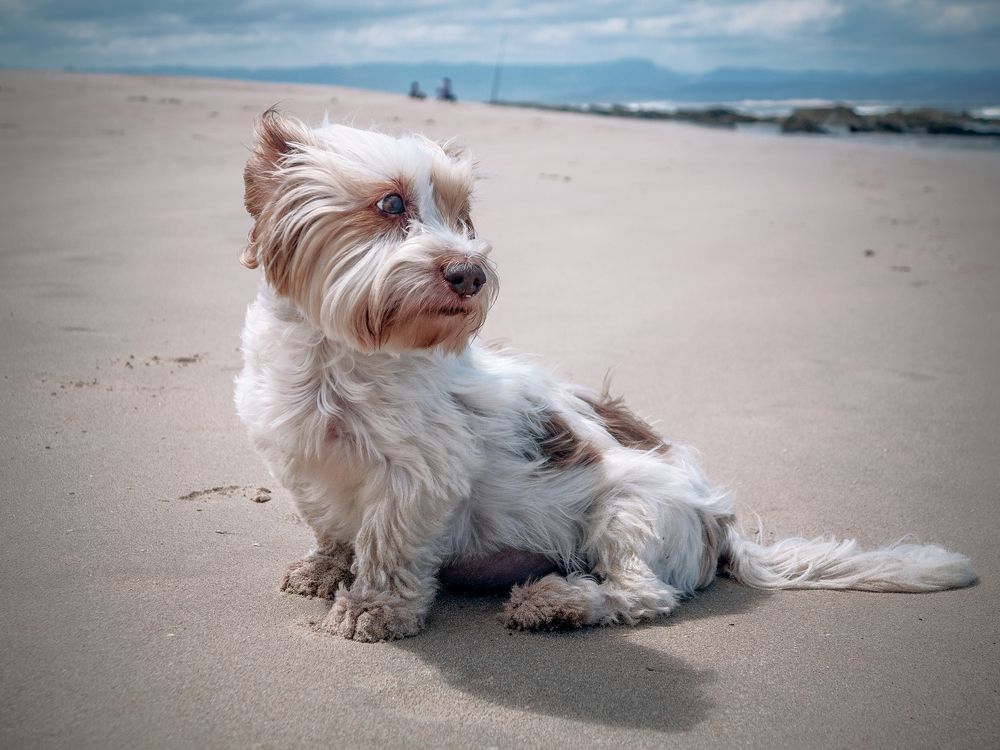 Photograph by Midge Engelbrecht