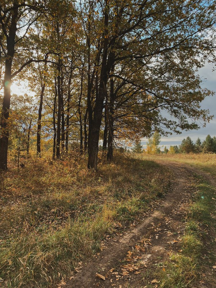 Photograph by Лена Кузнецова