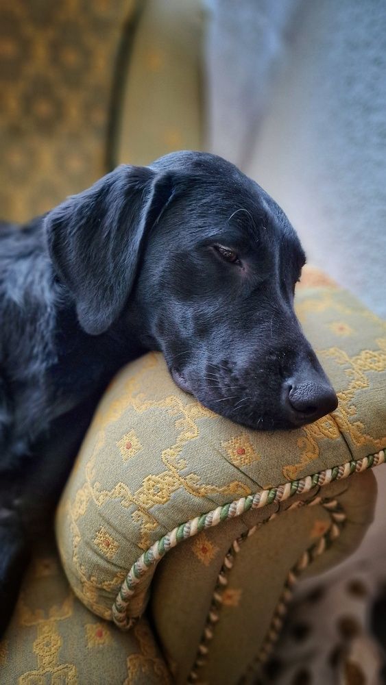 Photograph by Noemí Hornero Alonso