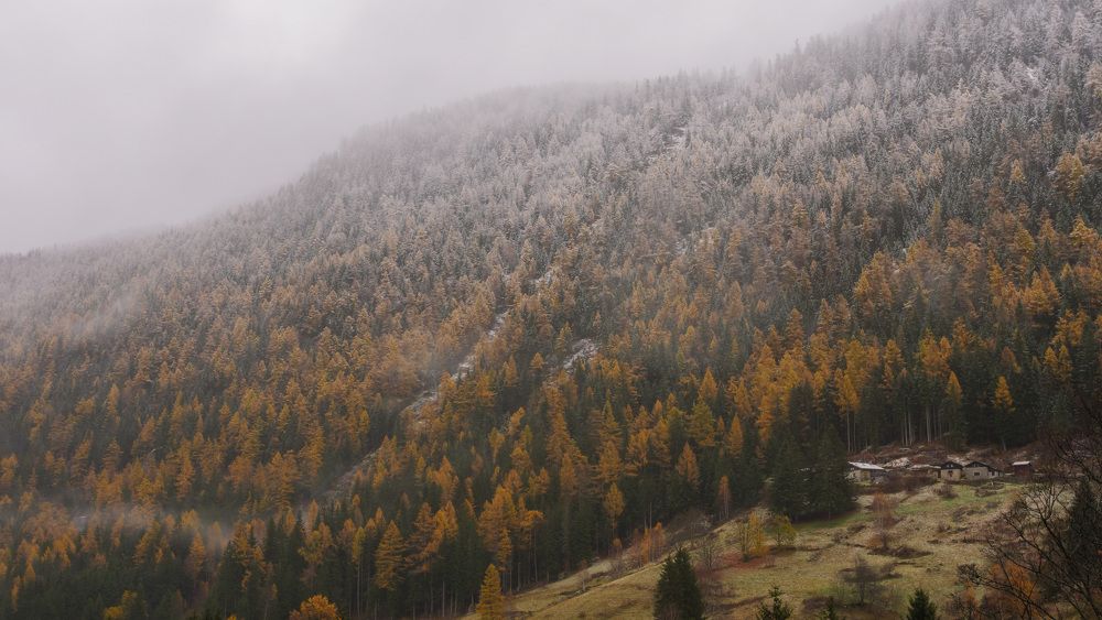 Photograph by Alexandre de Pommereau