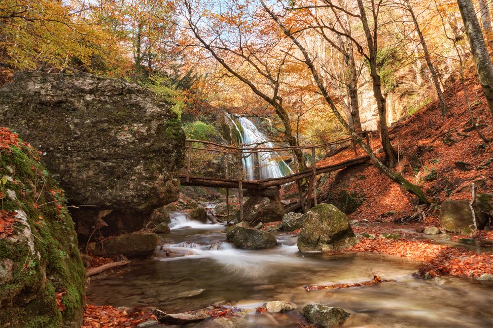 Photograph by Лариса Дука