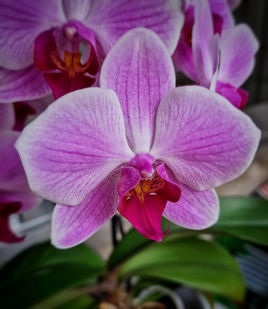 Photograph by Noemí Hornero Alonso