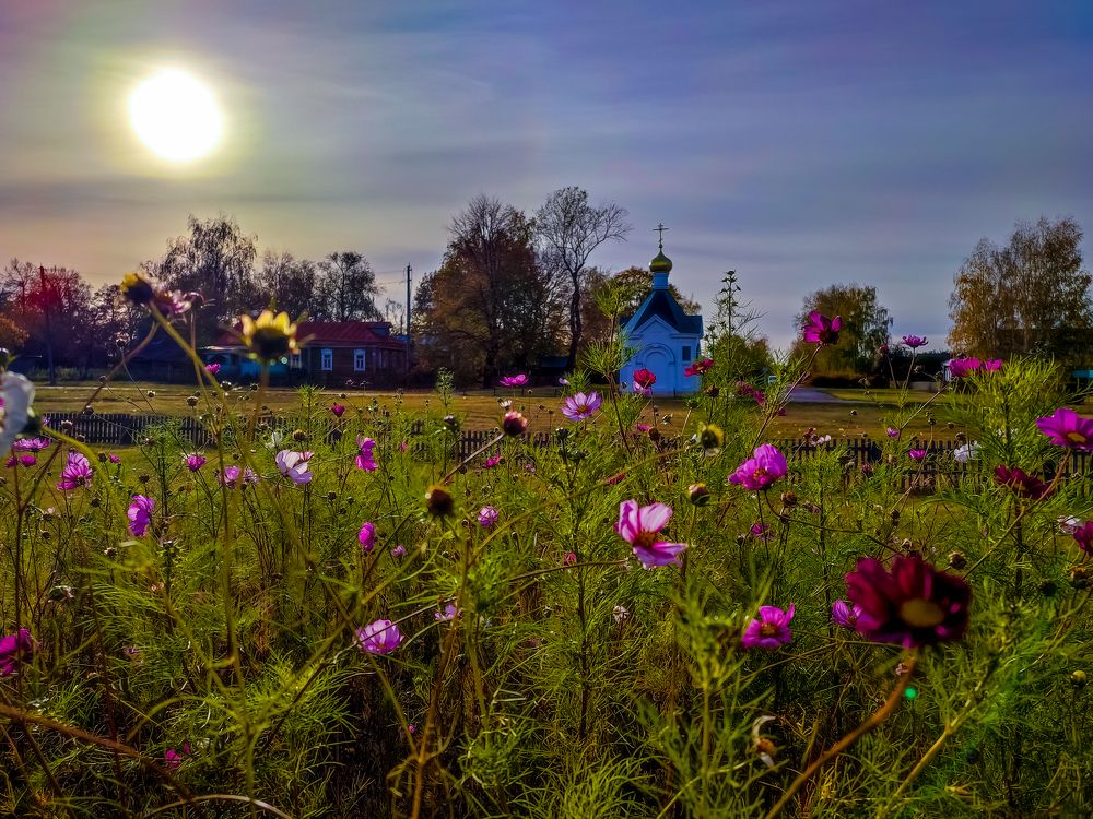 Фотография автора Нина Зинченко