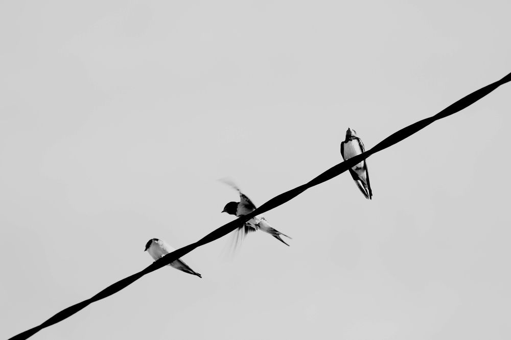 Photograph by Анна Ляшенко