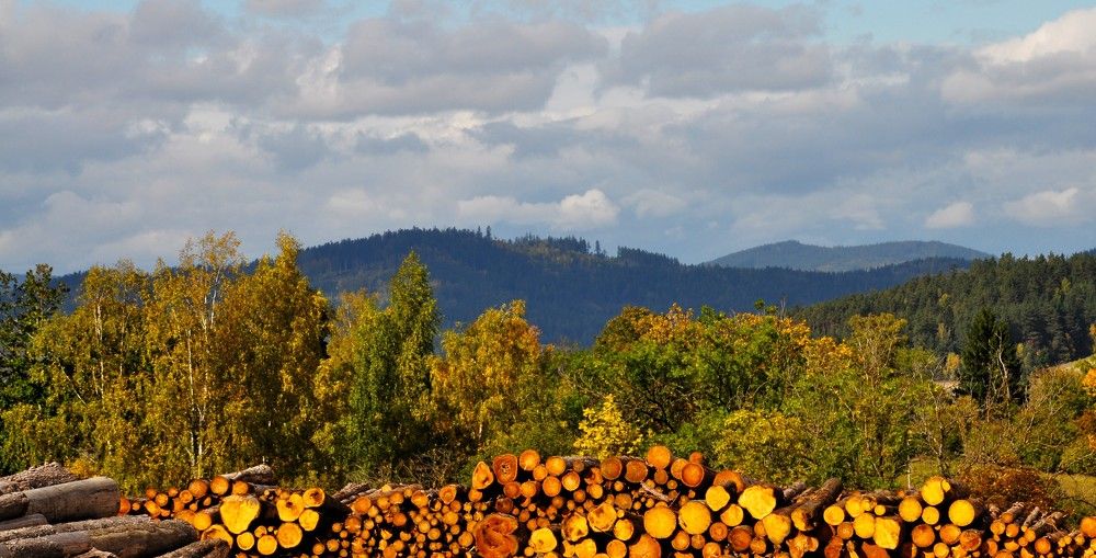 Photograph by Zdeňka Hudcová