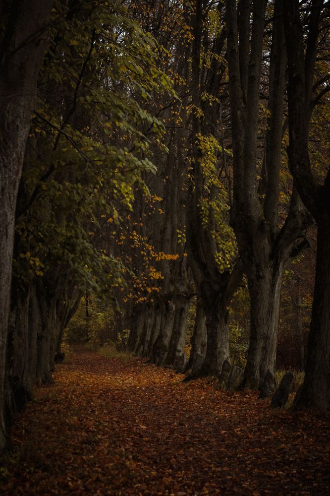 Photograph by Света Вирбицкас