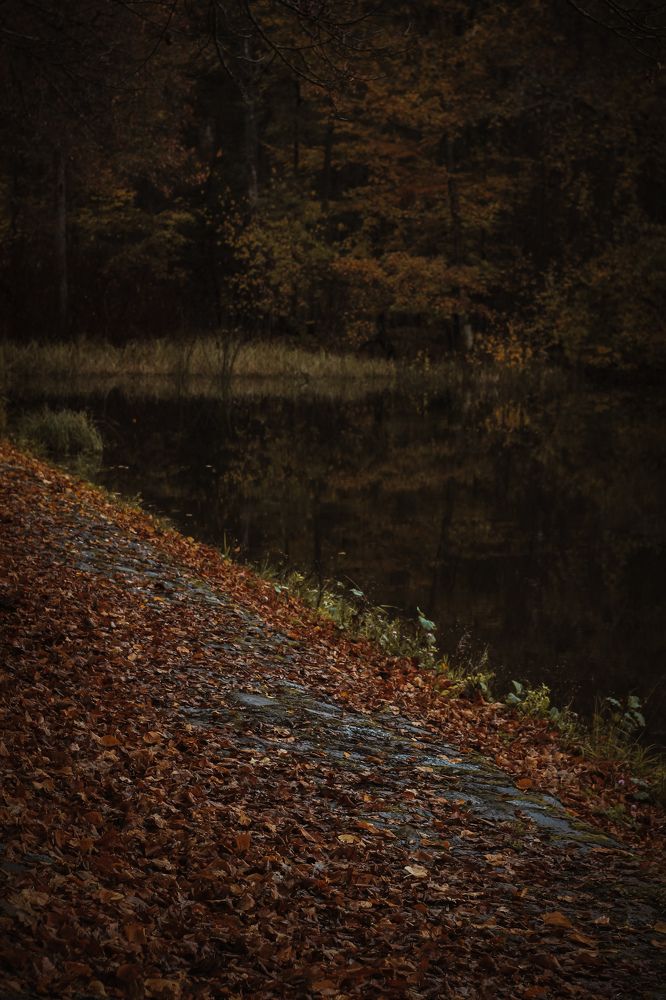 Photograph by Света Вирбицкас