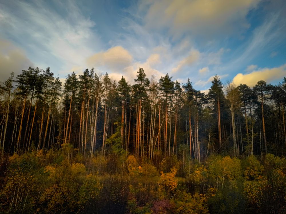 Фотография автора OXANA MARSOVA