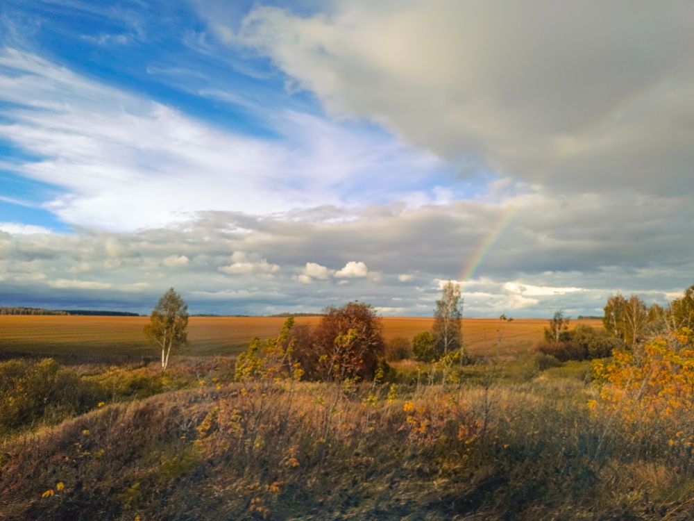 Фотография автора OXANA MARSOVA