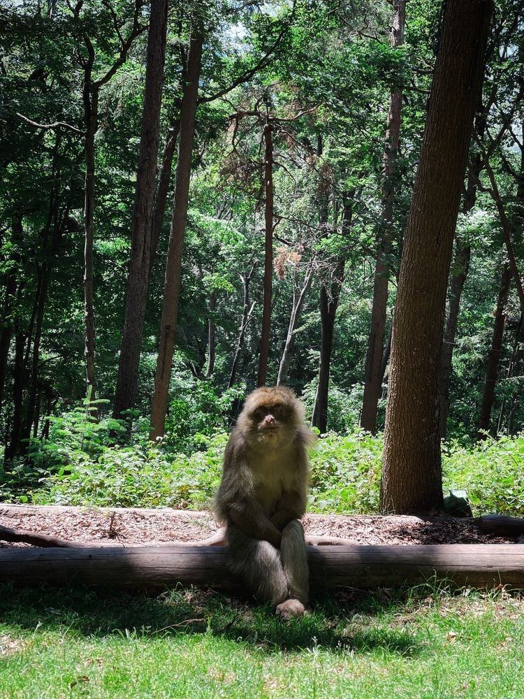 Photograph by daria eipert