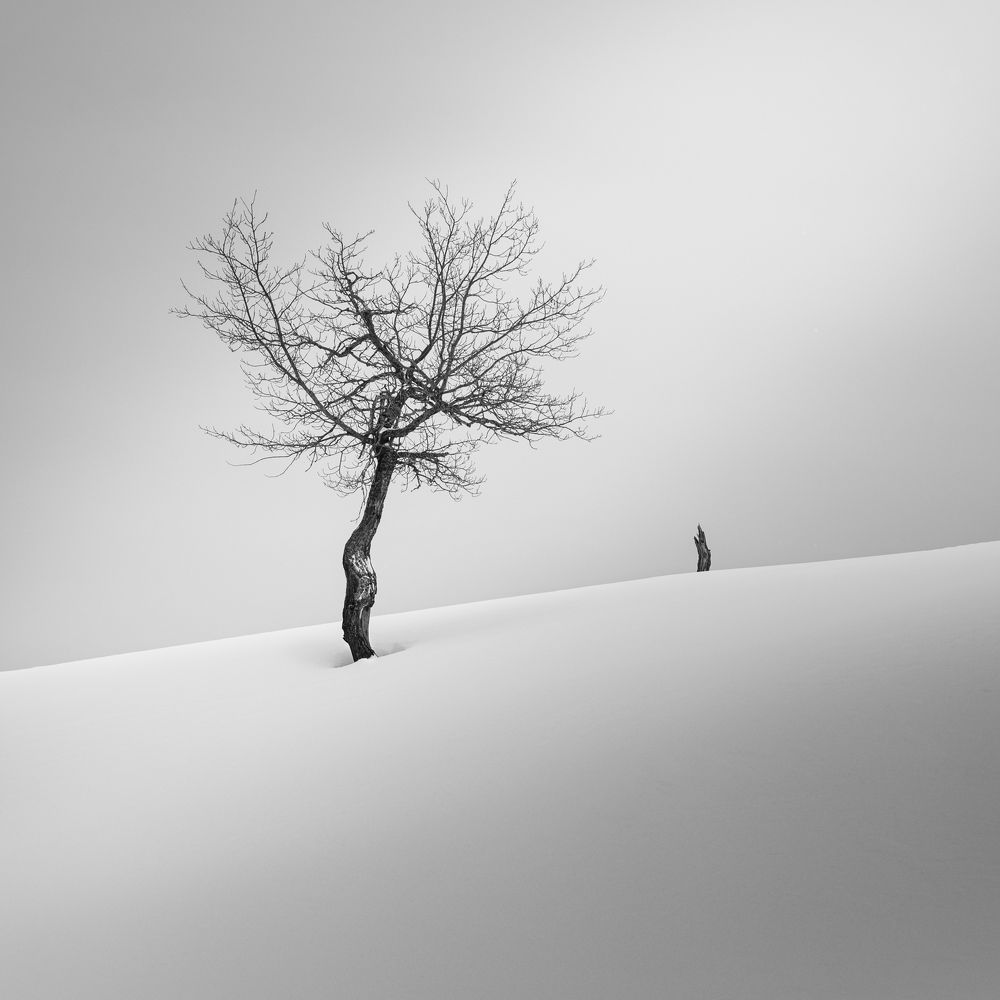 Фотография автора Евгений Иванов