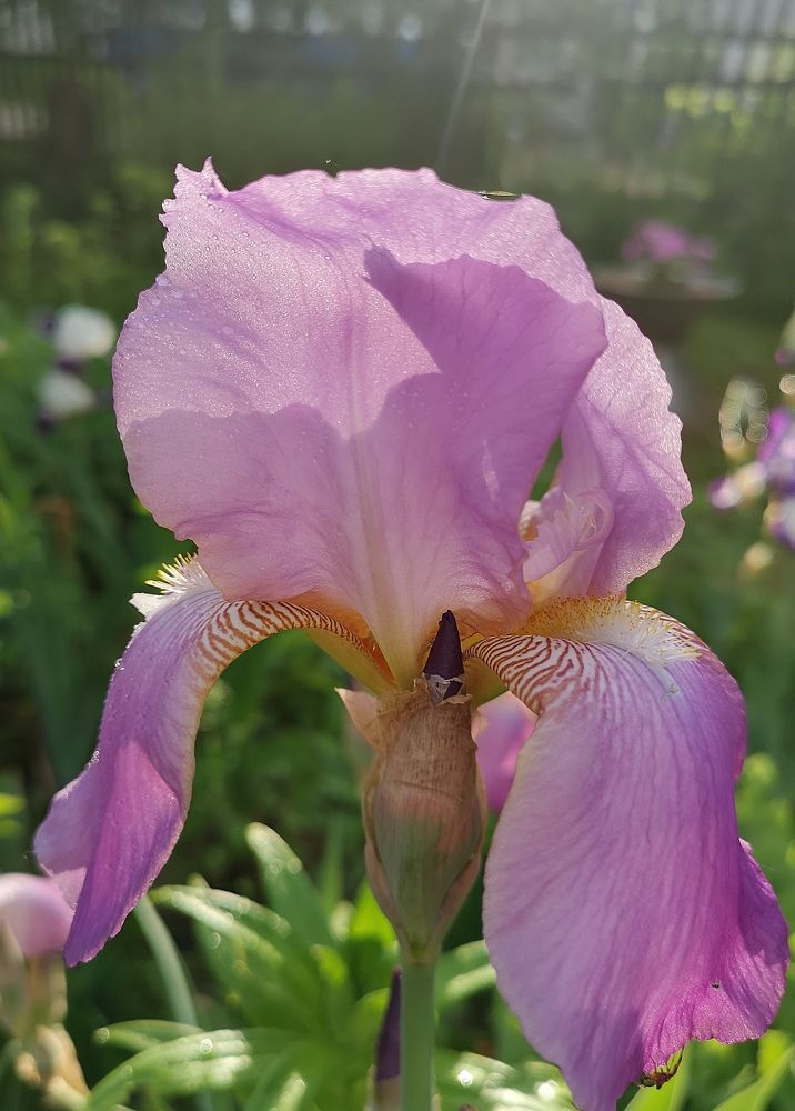 Photograph by Екатерина Борисовна Кузьмина