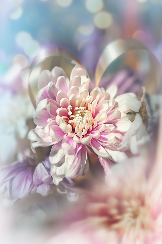 Photograph by Сивенок Елена