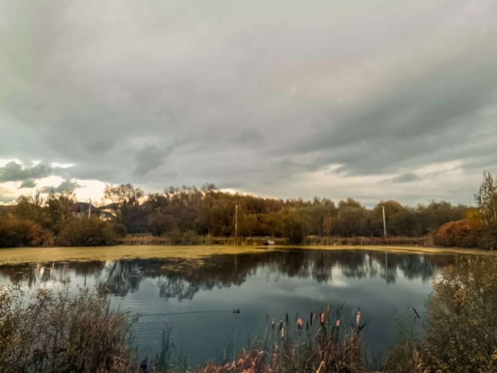 Фотография автора OXANA MARSOVA