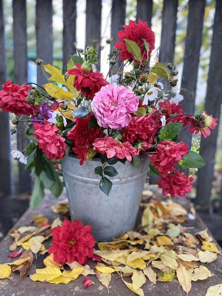 Photograph by Гузэль