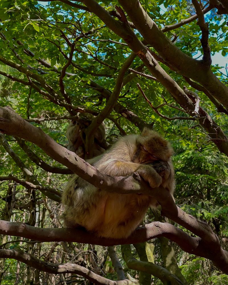 Photograph by daria eipert