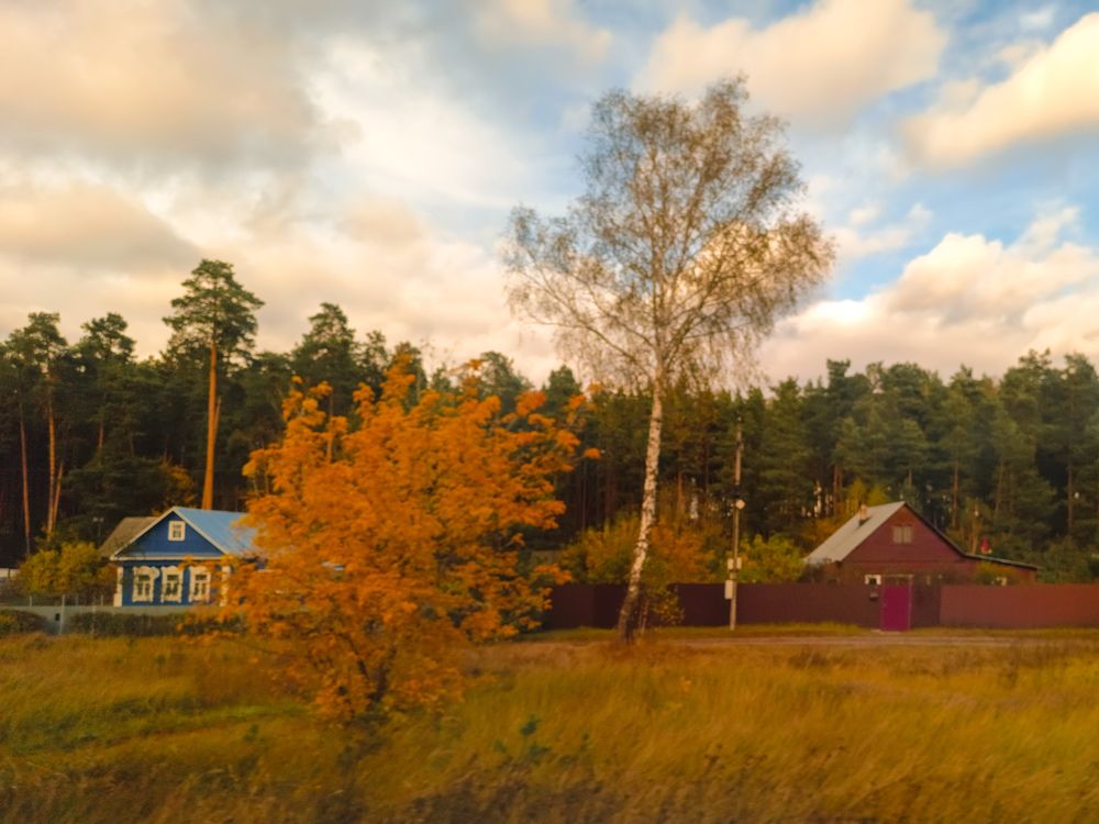 Фотография автора OXANA MARSOVA