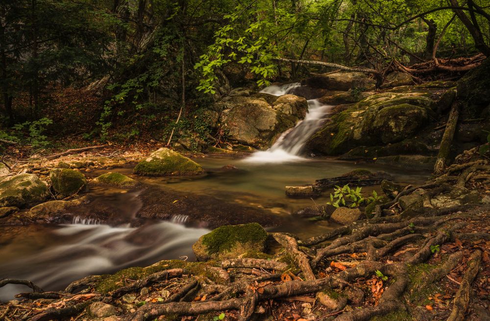Photograph by Владимир Яковлев