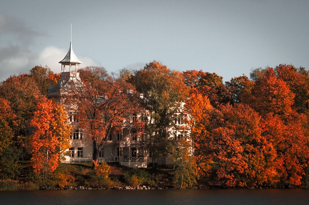 Photograph by Irina Ebral