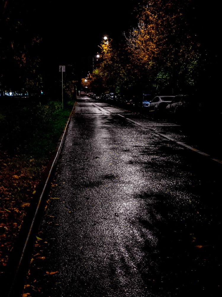 Photo #9685988