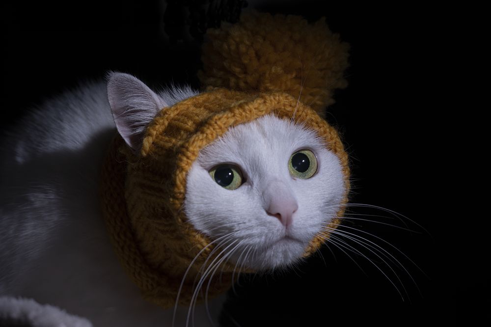 Photograph by Екатерина Бурикова