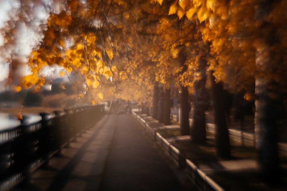 Photograph by Корчагина Оксана