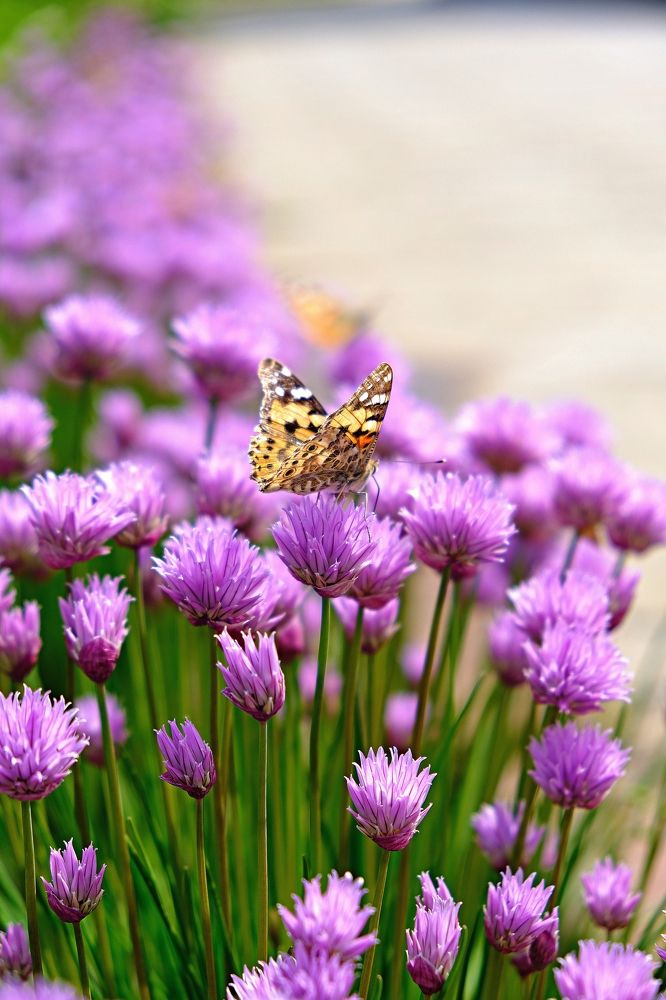 Photograph by Татьяна Глебова