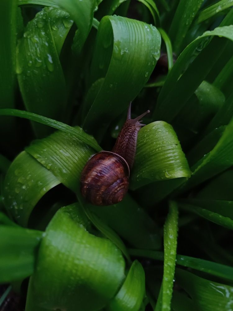 Фотография автора OXANA MARSOVA