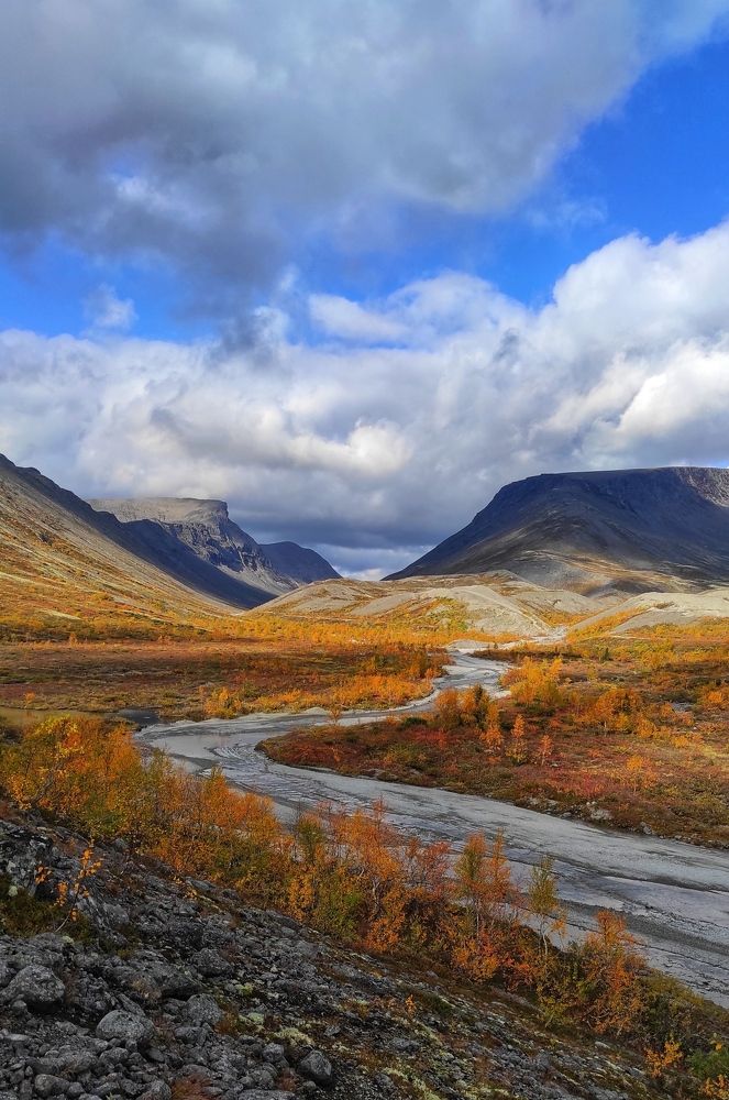 Photograph by Татьяна Глебова