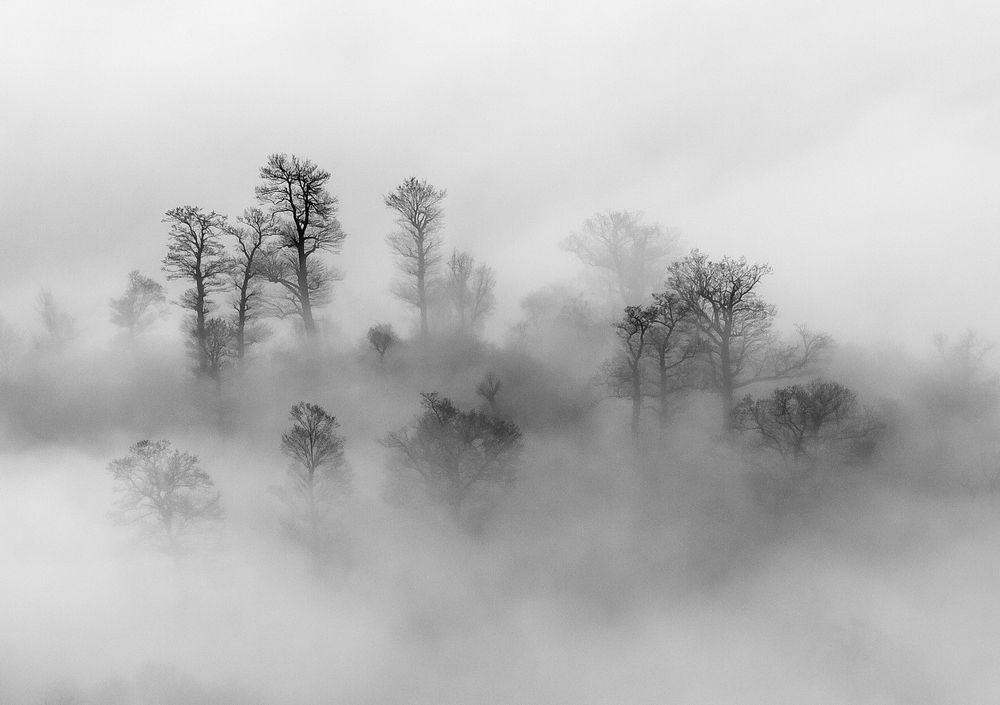 Photograph by Sharife Aliabadi