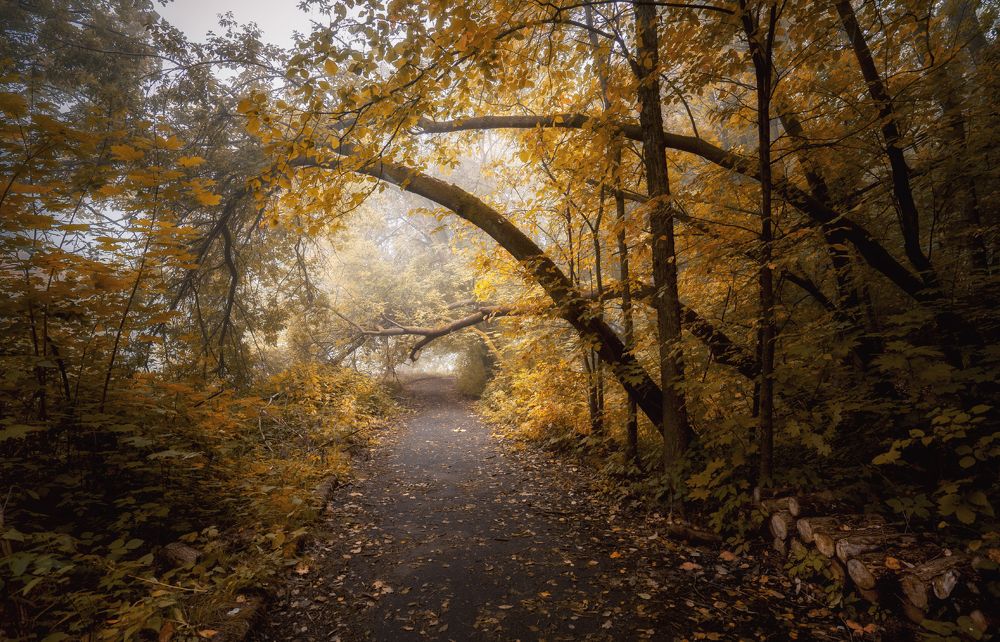 Photograph by Колесов Андрей