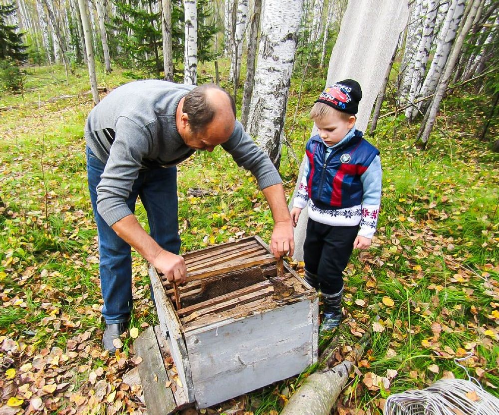 Photograph by Оксана Подъельская