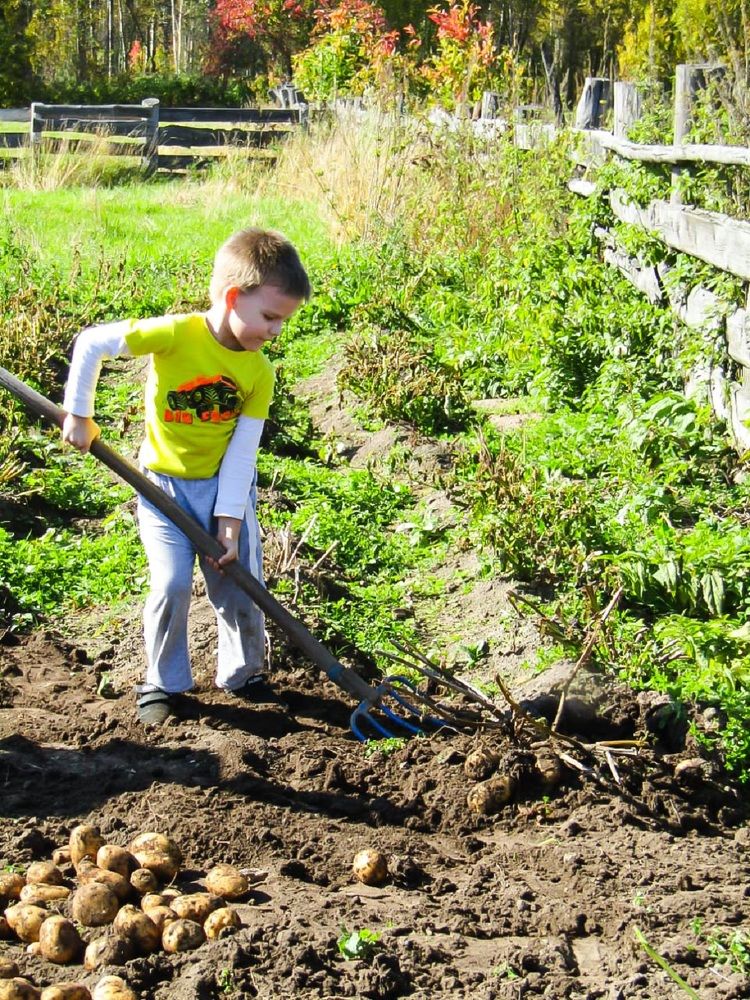Photograph by Оксана Подъельская