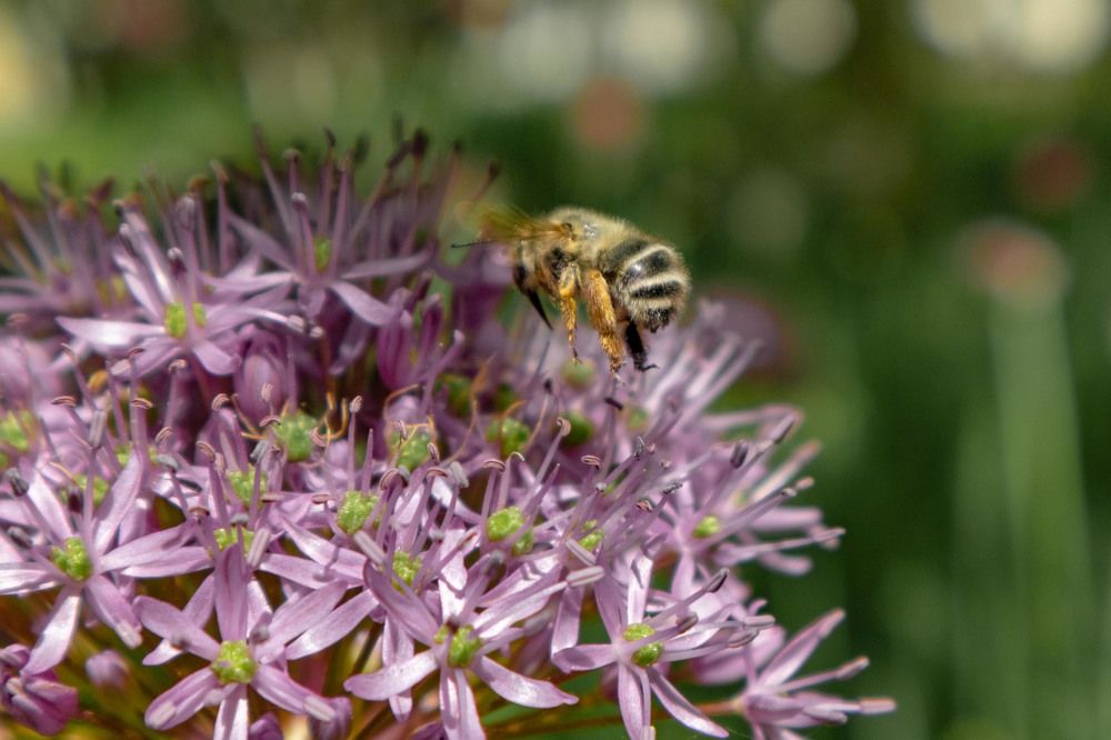Фотография автора Ivan