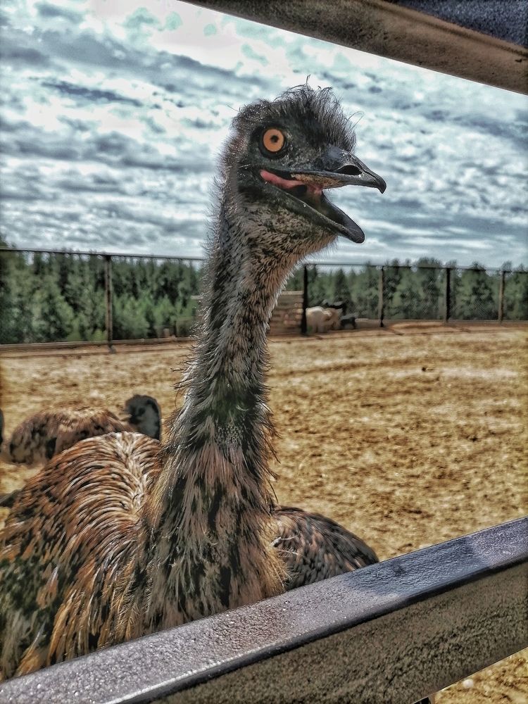 Photograph by Наталья Веряскина